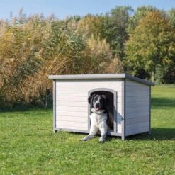 Trixie Classic Dog Kennel: Natura Flat Roof Kennel Size S-M: W 85 X D 60 X H 58 Cm, Grey -Zoo Plus 105956 trixie natura flachdach classic hs 01 0