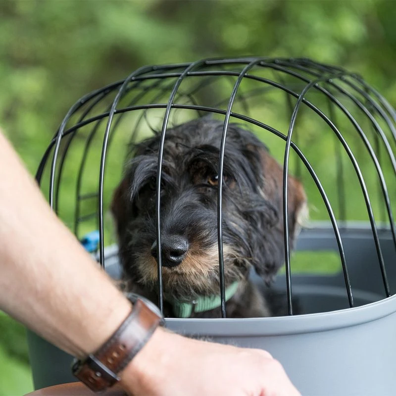 Trixie Friends On Tour Bicycle Basket For Luggage Rack 46 X 36 X 47 Cm (L X W X H) 5 Trixie Friends On Tour Bicycle Basket For Luggage Rack 46 X 36 X 47 Cm (L X W X H) - Image 5