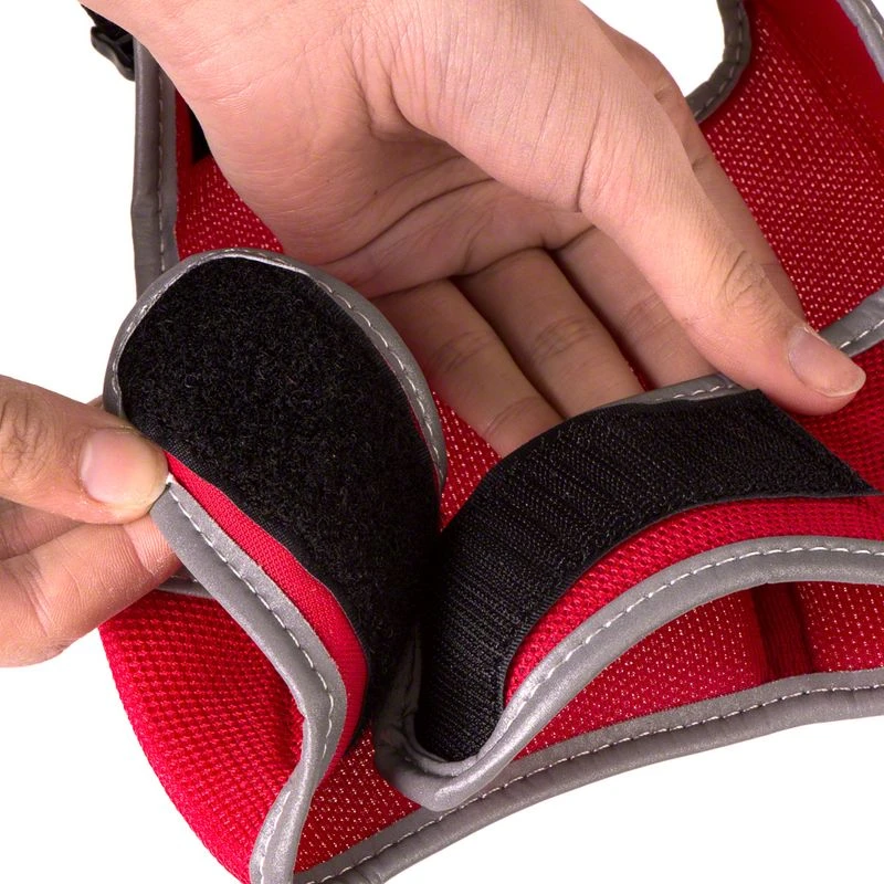 Trixie XCat Harness With Lead And Exclusive Stickers Red - Image 11