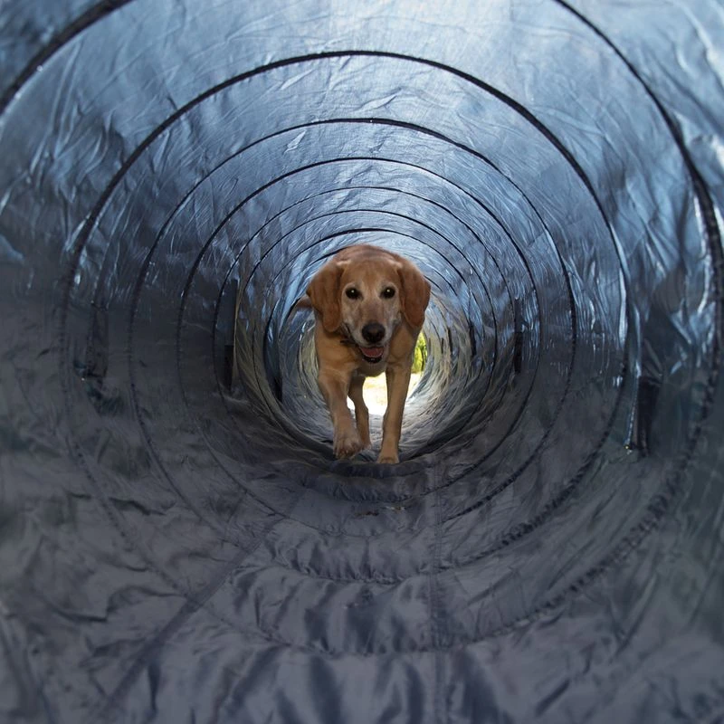 Trixie Agility Tunnel Ø 60cm, 5m Long 3 Trixie Agility Tunnel Ø 60cm, 5m Long - Image 3