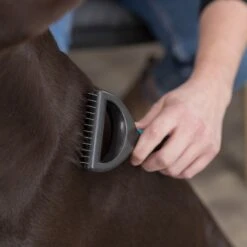 Trixie Fur Detangler 7 X 18 Cm 11 Trixie Fur Detangler 7 X 18 Cm -Zoo Plus 16656 trixie fell entfilzer hs 4 8