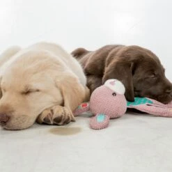 Trixie Junior Bunny Approx. 28cm -Zoo Plus 184562 trixie junior hase dog 28cm hs 03 2