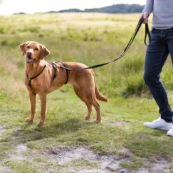 Trixie Stay Panic Harness - Black Size S–M: 40–65 Cm Chest Circumference, 15mm (W) 7 Trixie Stay Panic Harness - Black Size S–M: 40–65 Cm Chest Circumference, 15mm (W) -Zoo Plus 202096 202097 202098 202099 trixie panikgeschirr stay schwarz hs 06 8 6