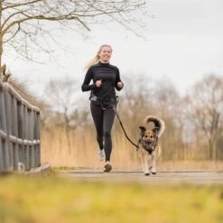 Trixie Jogging Belt With Leash - Grey/ Black Belt: 70 – 130 Cm, Leash: 115 – 150 Cm / 20mm -Zoo Plus 203777 trixie jogginggurt leine grauschwarz hs 13 6