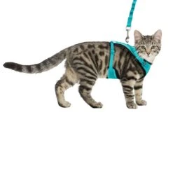 Trixie Mesh Y-Harness With Elastic Leash Turquoise -Zoo Plus 203970 trixie mesh ygeschirr elastischerleine hs 05 7
