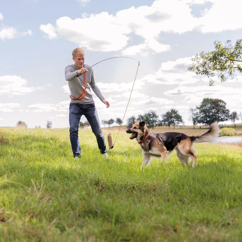 Trixie Bait Trap Approx. L 230 Cm 6 Trixie Bait Trap Approx. L 230 Cm - Image 6