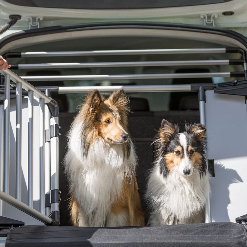 Trixie Friends On Tour Universal Boot Barrier 94-114 X 60 Cm (W X H) - Image 17