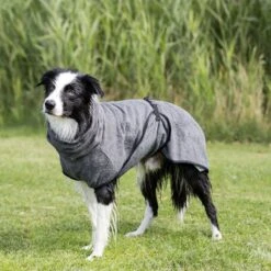 Trixie Bathrobe For Dogs XL: 75 Cm Back Length -Zoo Plus 212698 212699 212700 212701 212796 trixie bademantel hunde hs 11 2 2