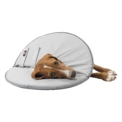 Trixie Protective Collar Size L-XL: Neck Circumference 53 - 56 Cm -Zoo Plus 212908 213096 212909 213097 213196 213197 212910 trixie schutzkragen hs 03 3 1