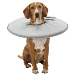 Trixie Protective Collar Size XS: Neck Circumference 23 - 27 Cm -Zoo Plus 212908 213096 212909 213097 213196 213197 212910 trixie schutzkragen hs 05 6 3