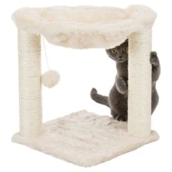 Trixie Cat Tree Baza Cream 15 Trixie Cat Tree Baza Cream -Zoo Plus 333022 trixie kratzbaum baza hs 03 6
