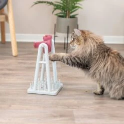 Trixie Cat Activity Turn Around 22 X 33 X 18 Cm (L X W X H) -Zoo Plus 34268 cat activity turn around l22xb18xh33cm 1000x1000 hs 03 8