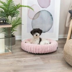 Trixie Bed Lonni - Pink 50cm (W) -Zoo Plus 37996 37997 trixie bett lonni hs 05 3