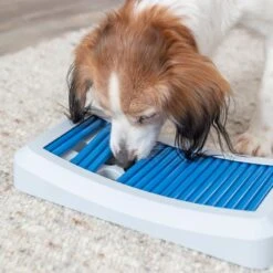 Trixie Activity Stick Game Rod Board 35 X 19.5cm (L X W) -Zoo Plus 398810 trixie activity stabchenspiel rodboard hs 10 1