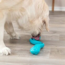 Trixie Snack-Snake Petrol: Approx. 59cm (L) 26 Trixie Snack-Snake Petrol: Approx. 59cm (L) -Zoo Plus 398812 trixie snacksnake hs 09 2