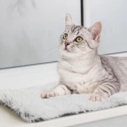 Trixie Harvey Windowsill Mat 90 X 28 Cm (L X W) 11 Trixie Harvey Windowsill Mat 90 X 28 Cm (L X W) -Zoo Plus 403714 trixie liegematte harvey fensterbank hs 08 7