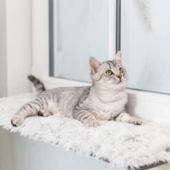 Trixie Harvey Windowsill Mat 90 X 28 Cm (L X W) 10 Trixie Harvey Windowsill Mat 90 X 28 Cm (L X W) -Zoo Plus 403714 trixie liegematte harvey fensterbank hs 09 3