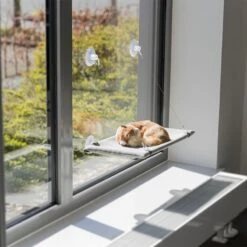 Trixie Window Lounger 50 X30cm (L X W) -Zoo Plus 403721 trixie fenster liegeplatz hs 09 3