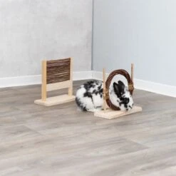 Trixie Agility Set For Rabbits Set Of 2 -Zoo Plus 428996 trixie agilityset kaninche hurdering hs 13 7