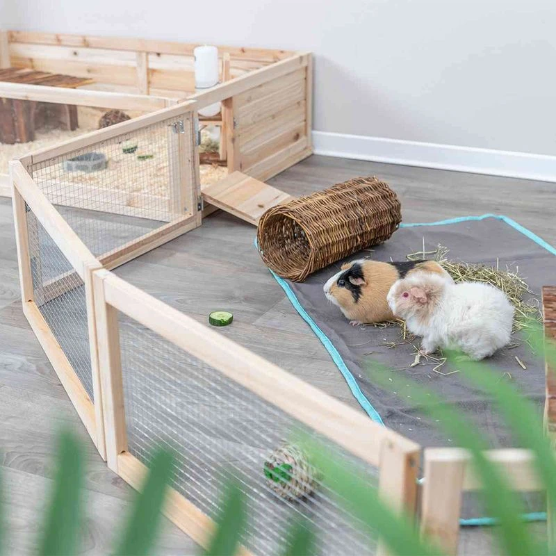 Trixie Indoor Free Run Enclosure For Guinea Pigs 60 X 30cm (L X H), 4 Elements 4 Trixie Indoor Free Run Enclosure For Guinea Pigs 60 X 30cm (L X H), 4 Elements - Image 4