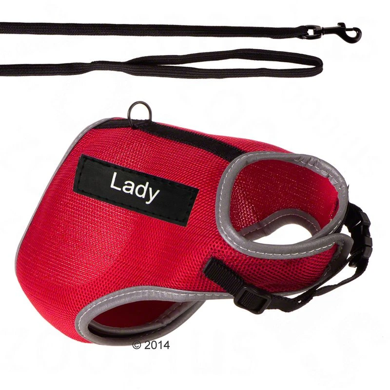 Trixie XCat Harness With Lead And Exclusive Stickers Black - Image 5