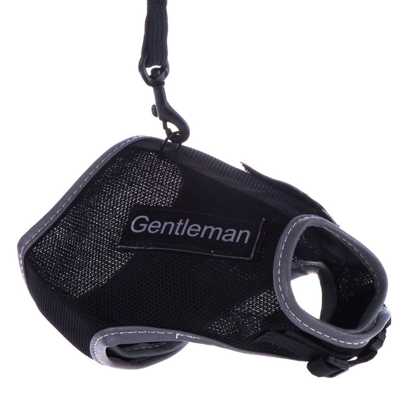 Trixie XCat XL Harness With Lead And Exclusive Stickers Black 3 Trixie XCat XL Harness With Lead And Exclusive Stickers Black - Image 3