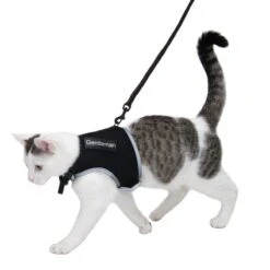 Trixie XCat Harness With Lead And Exclusive Stickers Red -Zoo Plus 457257 xcat katzengeschirr mit leine und sticker fg dsc1337 2 1