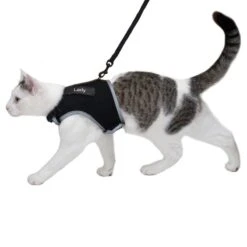 Trixie XCat XL Harness With Lead And Exclusive Stickers Black 25 Trixie XCat XL Harness With Lead And Exclusive Stickers Black -Zoo Plus 457257 xcat katzengeschirr mit leine und sticker fg dsc1347 3