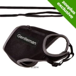 Trixie XCat Harness With Lead And Exclusive Stickers Red