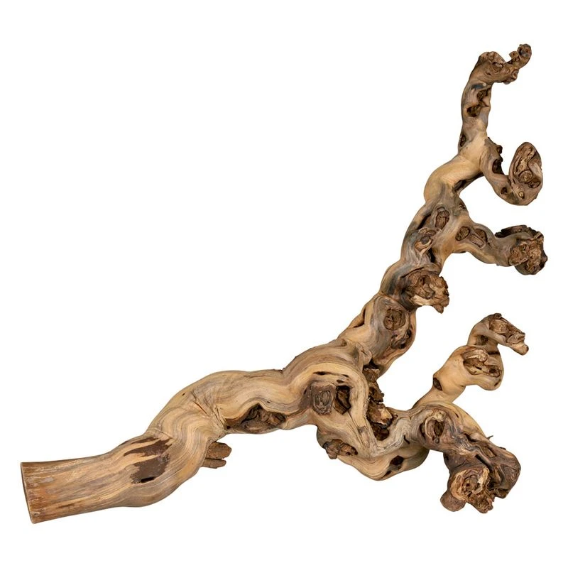 Trixie Sand-Blasted Branch 40 - 60 Cm 2 Trixie Sand-Blasted Branch 40 - 60 Cm - Image 2