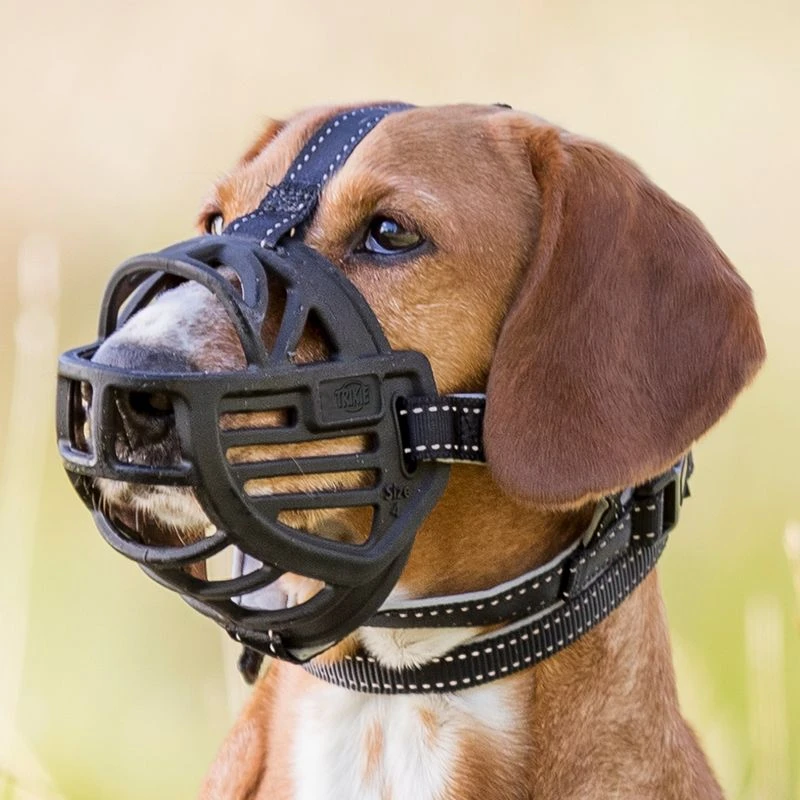 Trixie Flex Rubber Muzzle Size S: Jack Russell, Miniature Poodle - Image 2