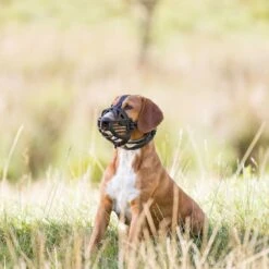 Trixie Flex Rubber Muzzle Size XL - XXL: Great Dane, Leonberger -Zoo Plus 500898 500999 500899 501000 500900 500901 trixie maulkorb flex gummi grosse schwarz hs 07 3