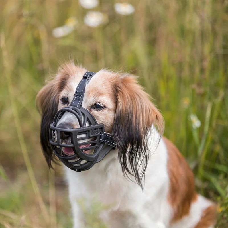 Trixie Flex Rubber Muzzle Size S: Jack Russell, Miniature Poodle - Image 8