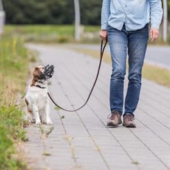 Trixie Flex Rubber Muzzle Size M: Border Collie, Medium Schnauzer 13 Trixie Flex Rubber Muzzle Size M: Border Collie, Medium Schnauzer -Zoo Plus 500898 500999 500899 501000 500900 500901 trixie maulkorb flex gummi grosse schwarz hs 12 5 2