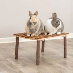 Trixie Small Pet Shelter & Lounger 45 X 27 X 35cm (L X W X H) -Zoo Plus 529696 trixie kleintier unterstand liegeplatz hs 07 0 1