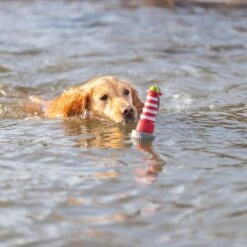 Trixie Lighthouse Water Toy 8 X 26cm (diameter X H) -Zoo Plus 542454 544696 trixie aqua toy hs 010 4 1