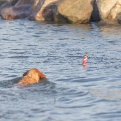 Trixie Lighthouse Water Toy 6 X 20cm (diameter X H) -Zoo Plus 542454 544696 trixie aqua toy hs 011 7