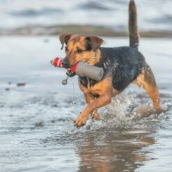 Trixie Lighthouse Water Toy 6 X 20cm (diameter X H) -Zoo Plus 542454 544696 trixie aqua toy hs 07 0