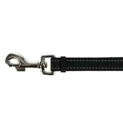 Trixie Harness With Lead 150cm X 20mm (L X W) -Zoo Plus 546222 trixie bauchgurt mit leine hs 06 7