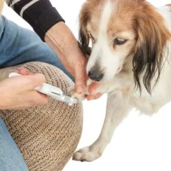 Trixie Claw Scissors With LED Light Size: 15cm 13 Trixie Claw Scissors With LED Light Size: 15cm -Zoo Plus 546599 trixie krallenschere mit led licht hs 010 1