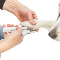 Trixie Claw Scissors With LED Light Size: 15cm 17 Trixie Claw Scissors With LED Light Size: 15cm -Zoo Plus 546599 trixie krallenschere mit led licht hs 08 8