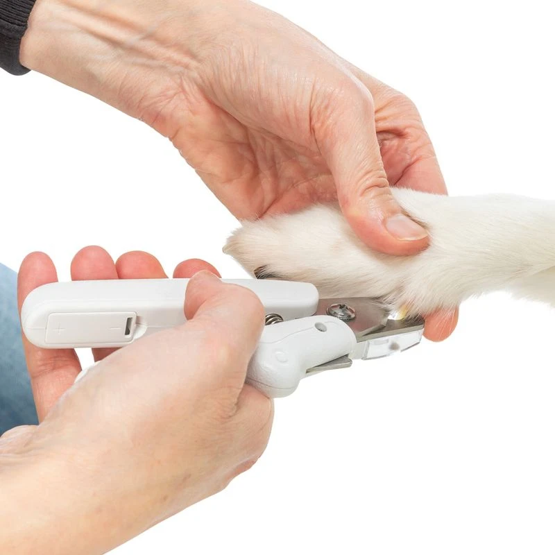 Trixie Claw Scissors With LED Light Size: 15cm 3 Trixie Claw Scissors With LED Light Size: 15cm - Image 3