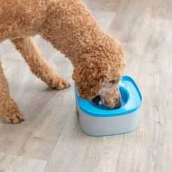 Trixie Strong Travel Bowl 21 X 21 X 11cm (L X W X H) -Zoo Plus 546698 trixie reisenapf strong hs 017 7