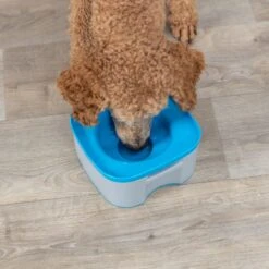 Trixie Strong Travel Bowl 21 X 21 X 11cm (L X W X H) -Zoo Plus 546698 trixie reisenapf strong hs 018 8