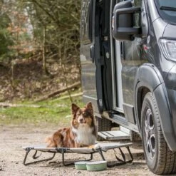 Trixie Dog Lounger 120 X 70 X 19cm (L X W X H) 17 Trixie Dog Lounger 120 X 70 X 19cm (L X W X H) -Zoo Plus 546701 trixie hundeliege 120x19x70cm 1000x1000 hs 06 0