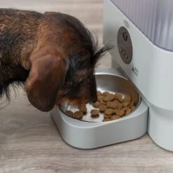 Trixie TX-C Smart Automatic Feeder Up To 5 Litres Of Dry Food -Zoo Plus 546799 trixie futterautomat tx s hs 011 0 1