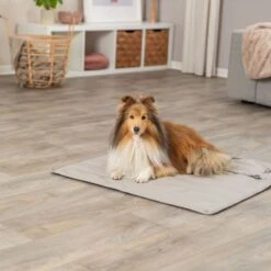 Trixie CityStyle Travel Blanket 80 X 80cm -Zoo Plus 546996 trixie reisedecke citystyle 80x80cm 1000x1000 hs 07 1