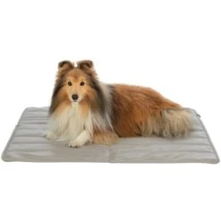 Trixie CityStyle Travel Blanket 80 X 80cm -Zoo Plus 546996 trixie reisedecke citystyle 80x80cm 1000x1000 hs 08 7