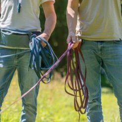 Trixie Rubber Drag Lead - Sangria Size: S-M: 15m Long/15mm Wide 10 Trixie Rubber Drag Lead - Sangria Size: S-M: 15m Long/15mm Wide -Zoo Plus 556341 556342 556343 trixie schleppleine gummiert sangria 1000x1000 hs 03 6 1