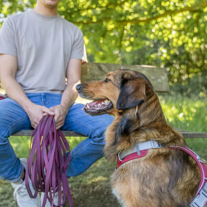 Trixie Rubber Drag Lead - Sangria Size: S-M: 10m Long/15mm Wide - Image 6